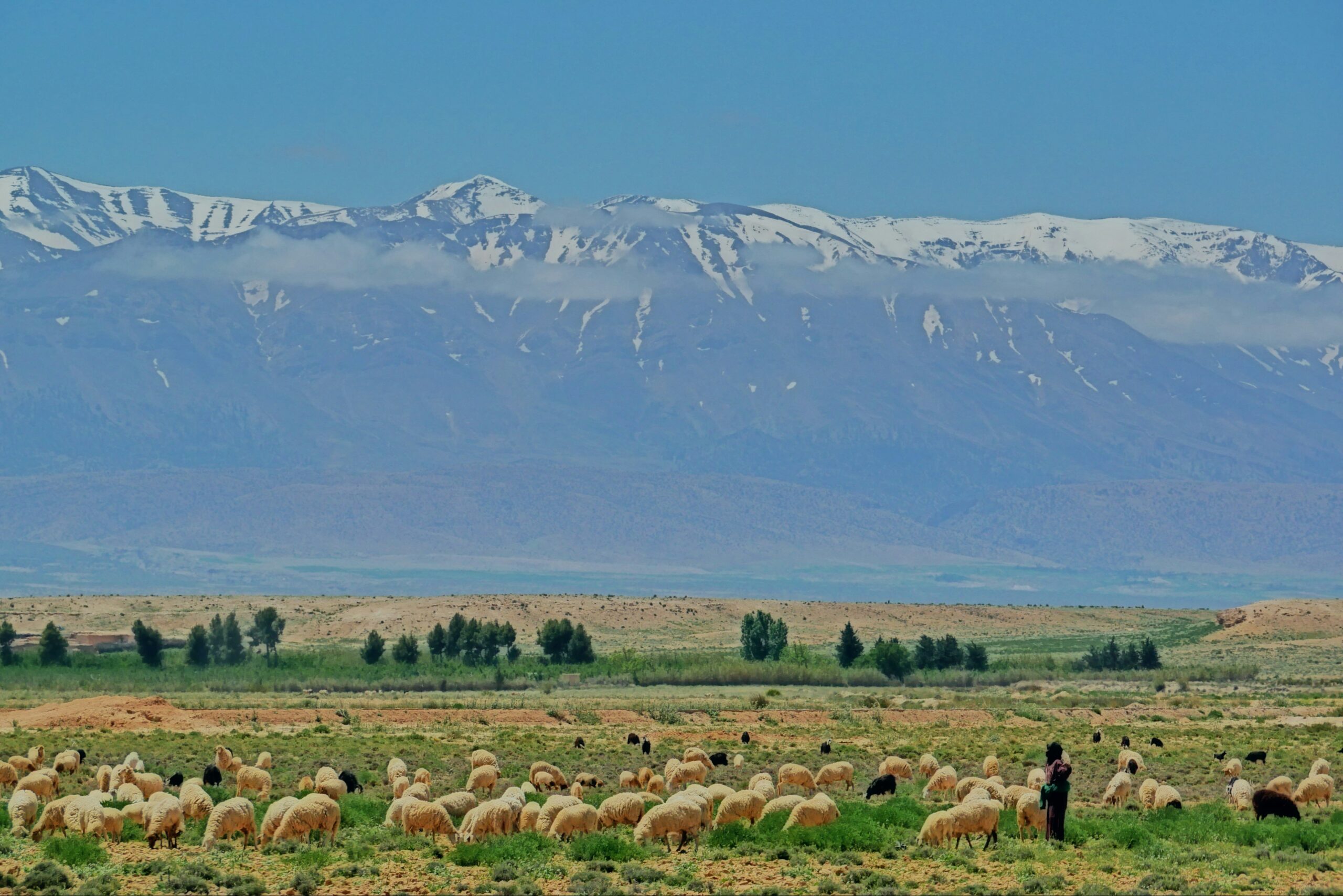 Private Grand Morocco Tour Atlas Mountains